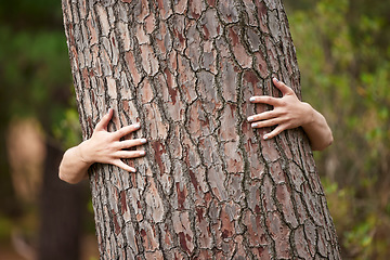 Image showing Nature, saving and a person with a tree hug for sustainability, planet love and ecology. Forest, earth day and hands hugging trees to show care for woods, deforestation and climate change in a park