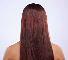 Image showing Back of woman, smooth hair and beauty of shine, color dye and wig extension on studio background. Female model, head and scalp at hairdresser for healthy texture, growth shampoo and salon aesthetics