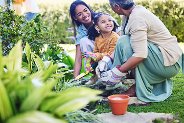 Image showing A woman, mother and daughter gardening together outdoor for growth or sustainability during spring. Plants, children and earth day with a family bonding in the garden for eco friendly landscaping