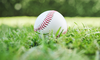 Image showing Baseball, sports and recreation with a ball on the grass, closeup waiting for a game or competition. Earth, fitness and training with a softball on a lawn, pitch or grass for sport activity outdoor