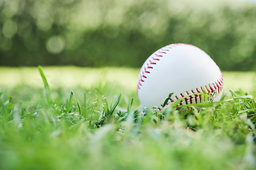 Image showing Baseball, sports and fitness with a ball on the grass, closeup waiting for a game or competition. Earth, recreation and training with a softball on a lawn, pitch or grass for sport activity outdoor