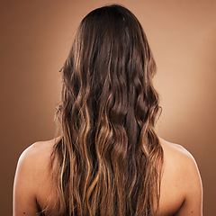 Image showing Back, hair and beauty with a model woman in studio on a brown background for natural or keratin treatment. Aesthetic, salon and shampoo with a female customer at the hairdresser for luxury haircare