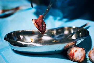 Image showing Metal tools, dish and medical surgery with blood, cotton and removal of cancer tumour in hospital. Emergency operation, tweezers and pan in clinic with closeup for help, healthcare procedure or job