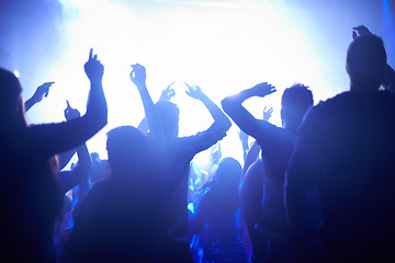 Image showing Blue, neon lights and people dancing at music festival from back, lighting and energy at live concert event. Dance, fun and group of excited fans in arena at rock band performance or crowd at party.