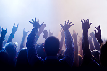 Image showing Music, hands raised and people at concert or festival from back, lights and energy in crowd at live event. Dance, fun and group of excited fans in arena at rock band performance or audience at party.