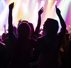 Image showing Fans in silhouette at music festival, hands in air and neon lights with energy at live concert event. Dance, fun and group of excited people in arena at rock band performance or back of crowd at show
