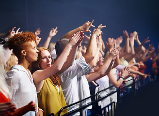 Image showing Crowd in fence row, fans at music festival or concert watching rock event on stage. Excited people in audience at band performance at arena, stadium or party with applause and energy at night show.