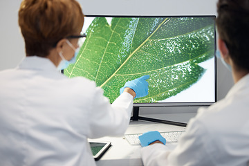 Image showing Plant, science and researchers with computer, screen and planning for sustainability, organisms and breakthrough. Back, scientist or employees with pc, leaves and image with ecology study or analysis