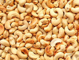 Image showing Cashew