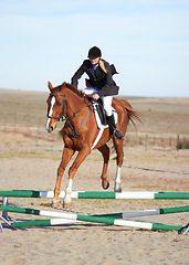 Image showing Sport, jump and equestrian with woman on horse for show, competition and performance. Training, derby and health with female jockey on animal in countryside for obstacle, horseback and rider event