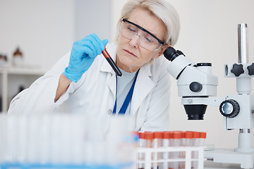 Image showing Medical science, blood test and analysis with scientist woman a vial for dna or medicine research. Expert person in laboratory with tube sample or study for healthcare, chemistry or investigation