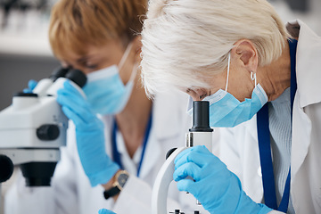 Image showing Microscope, science team and analysis in a laboratory for scientist investigation or research. Expert women in lab with medical equipment for innovation, future medicine or biotechnology study