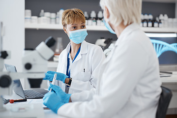 Image showing Talking, science woman and in laboratory for research, investigation or collaboration. Expert scientist team in a medical lab with a face mask for innovation, future medicine or biotechnology study