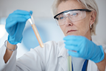 Image showing Senior woman, scientist and holding DNA samples or chemical in experiment or testing with gloves in laboratory. Mature female in science discovery, research or test tubes for lab results in chemistry