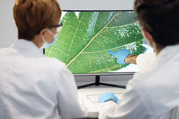 Image showing Plants, research or employees with computer, lab or discussion for breakthrough, analysis or results. Coworkers, staff or scientists with pc, technology or experiment for sustainability in laboratory