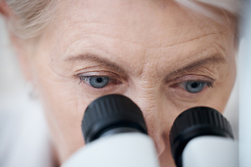 Image showing Microscope, science and woman for medical analysis in a laboratory for investigation or research. Eyes of senior scientist person with equipment for biotechnology study, innovation or development