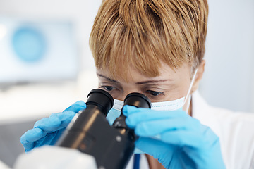 Image showing Woman, scientist and microscope in forensics for discovery, breakthrough or scientific research in lab. Female medical professional or expert in healthcare or science examination or experiment