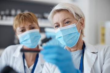 Image showing Science women, face mask and virus in a laboratory with scientist team for investigation or research. Senior people in lab with test for innovation, future medicine or biotechnology study or analysis