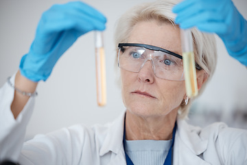 Image showing Senior woman, scientist and DNA samples or chemicals for experiment or testing with gloves in laboratory. Mature female in science discovery or research with test tubes for chemistry results in lab