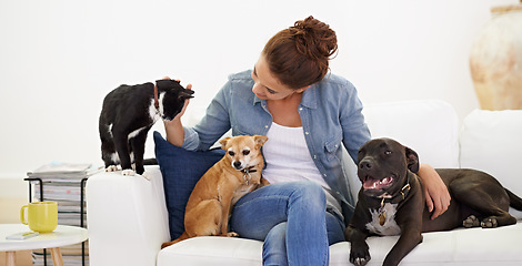 Image showing Woman, sofa and happy with pet, cat and dog for care, love and bonding in home living room, playing and together. Girl, animal family and smile on lounge couch with happiness, lifestyle and house