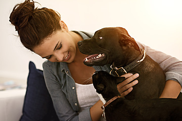 Image showing Woman, happy dog and cat together on sofa or animals, smiling owner and physical affection, love and hugs. Girl, canine and feline pets and building quality relationship with care, play or hug