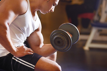 Image showing Arm, dumbbell workout and man doing gym exercise, sports fitness or bodybuilding for muscle growth. Gym membership, focus mindset and muscular male athlete with bicep weightlifting determination