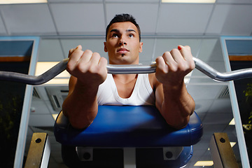 Image showing Gym bench, barbell exercise and man focus on muscle growth, strength training or lifting weights, curling or bodybuilding. Strong mindset, sports health and fitness person doing active workout