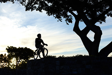 Image showing Nature, silhouette and man riding a bicycle in a field for fitness, health and wellness exercise. Sports, workout and shadow of a male cyclist athlete cycling on a bike in an outdoor garden or park.