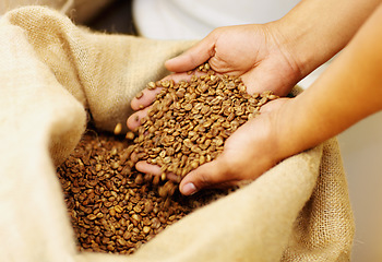 Image showing Hands, production and coffee beans in a burlap sack for organic, natural and fresh caffeine. Industry, grain and closeup of a barista with raw ingredient to produce espresso or cappuccino in a cafe.