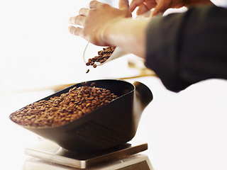 Image showing Coffee beans, scale and closeup of hands of barista weighing for retro, espresso and restaurant. Cappuccino, beverage and brewing with ground caffeine product and person for shopping, cafe and retail