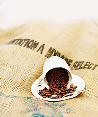 Image showing Coffee cup, roasted beans and cafe industry or shop with quality product on sack for marketing. Texture, abstract or background with brown grain for selling drink, espresso or caffeine ingredient