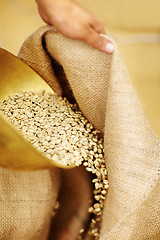 Image showing Closeup, burlap sack and coffee with beans, hand and inventory with ingredient, agriculture and natural. Zoom, hand and fabric with seeds, cloth and roasted grains with aroma, wellness and caffeine