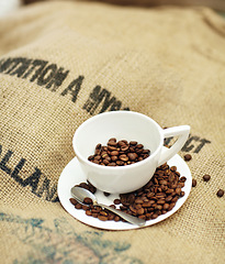 Image showing Roasted coffee beans, cup and cafe industry with quality product on sack for marketing and advertising. Texture, abstract or background with brown grain as drink, espresso or caffeine ingredient