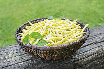 Image showing String beans