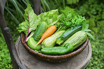 Image showing Vegetable harvest