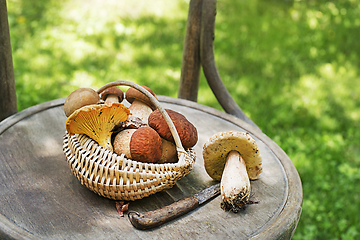 Image showing Boletus edulis mushroom porcini 