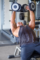 Image showing Fitness, bodybuilder and dumbbells with man in gym for muscle, workout and strong. Exercise, training and weightlifting with male athlete and equipment for heavy, commitment and powerlifting