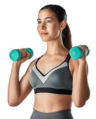 Image showing Dumbbells, exercise and woman with fitness, serious and girl isolated against a transparent background. Female person, healthy and goals with gym equipment, training and body with wellness and png