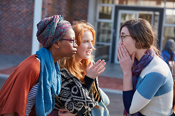 Image showing Youll never guess what I just heard. Cropped shot of a group of university students hanging out between class.