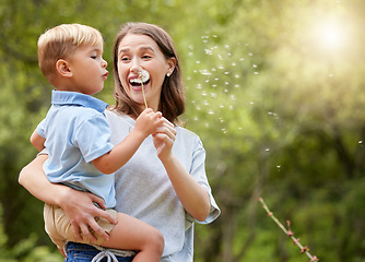 Image showing Nature, mother and child blowing dandelion for wishing, hope and childhood in meadow together. Spring, family and happy mom with boy with wildflower in field for adventure, freedom and happiness