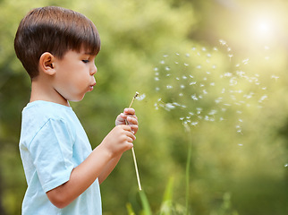 Image showing Nature, meadow and child blowing dandelion for wish, hope and growth in field with flowers. Spring, childhood and profile of young boy with wildflower in park for adventure, freedom and happiness