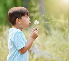 Image showing Nature, flowers and child blowing dandelion for wishing, hope and growth in environment. Spring mockup, childhood and profile of young boy with wildflower in park for adventure, freedom and happiness