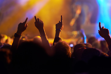 Image showing In the moment. Rear view shot of a crowd enjoying a live musical performance.