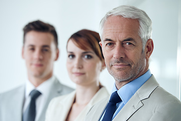 Image showing Theyre wired to succeed. Portrait of a group of confident-looking executives.