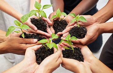 Image showing Agriculture, earth day and hands with leaves and soil for community, collaboration or solidarity. Sustainability, ecology and top view of people holding plants for an organic green energy environment