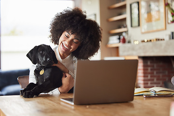 Image showing Home, dog and woman with a laptop, smile and bonding with connection, playing and love in the lounge. Female person, pet and girl with a pc, technology and social media with love, happy and animal