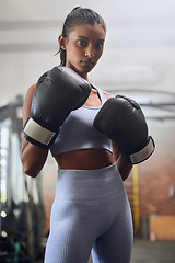 Image showing Young indian woman, boxing gym and portrait in gloves for fight, training or workout for health. Athlete girl, box club and exercise for conflict, performance and power with wellness, sport and goals