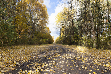 Image showing asphalt road