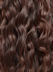 Image showing Hair, beauty with balayage and curly hairstyle with haircare, keratin treatment and back view closeup. Person with salon style, color highlights shine and texture, growth and grooming with glamour