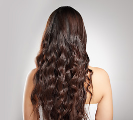 Image showing Hair, beauty with balayage and woman has curly hairstyle with haircare, keratin treatment and back view. Female person with color shine, texture with growth and grooming isolated on studio background